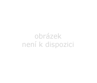 Recepty